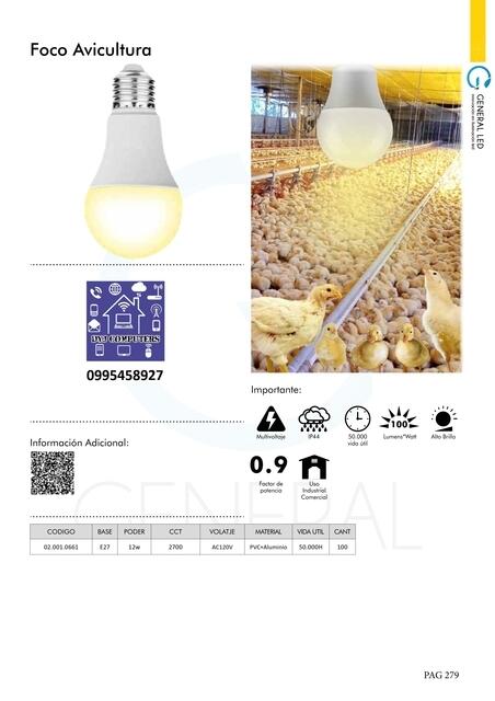 Focos Led 018