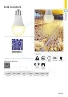 Focos Led 018